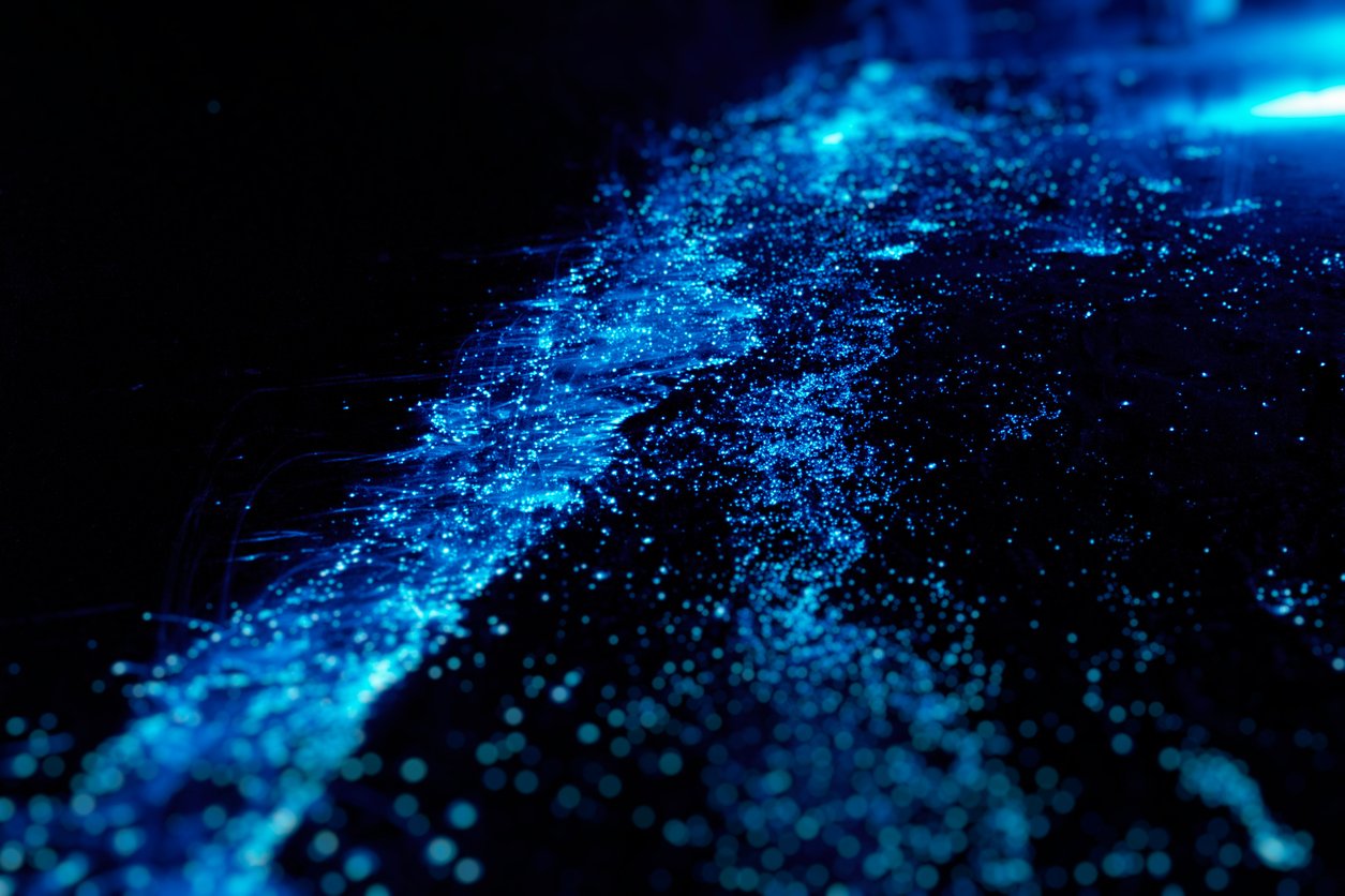Bioluminescence