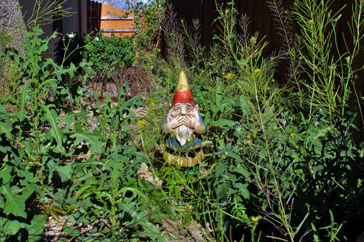 Nature? Here: A garden gnome in its natural habitat.