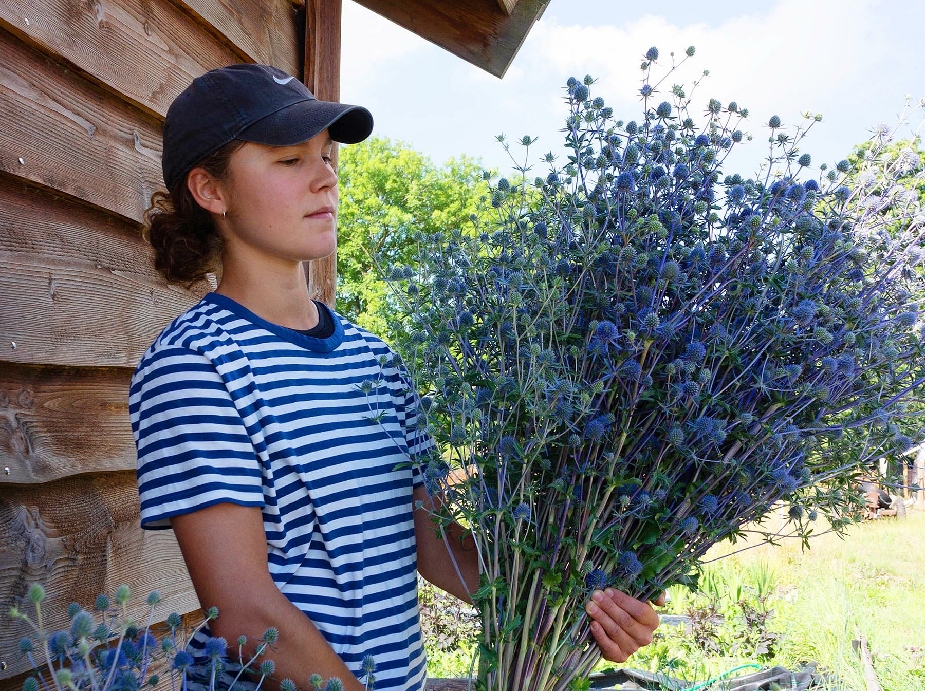 Student Karoline Schnorr with a huge bouquet of blue eryngo, cultivated organically and sustainably