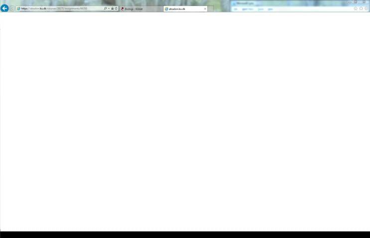 Da Hans Henrik Bruun skulle logge på Absalon, gik siden helt i hvidt. Det er enormt frustrerende, fortæller han. 