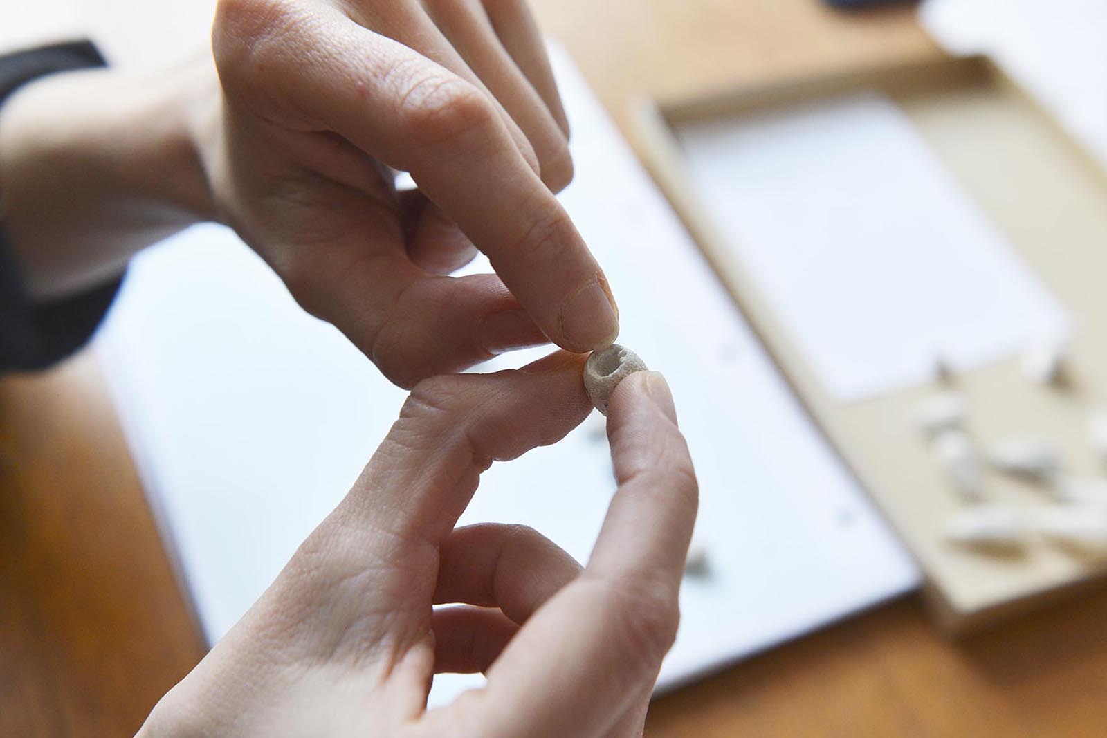 Some of the fossils have small bite marks, which Anna says make it probable that the bores were created by a worm, as they otherwise could come from large animals that eat the worm instead.