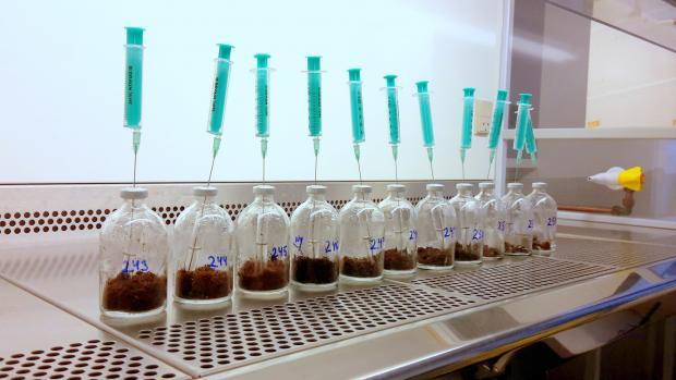 Forskerne puttede jordprøverne i glasflasker og tilkoblede en ekstremt sensitiv gas-analysator for at afdække hvilke gasser, der var tale om. Til deres store overraskelse fandt de ikke bare et par oversete gasser, men flere hundrede forskellige gasarter sivende ud af den tøende permafrost