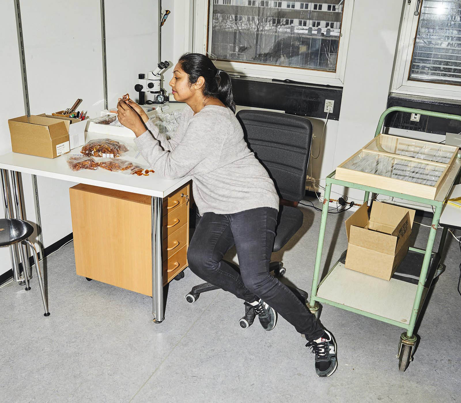 I løbet af de kommende to år skal ca. 57.000 stykker baltisk rav systematiseres. Hvert ravstykke kommes i en lille plasticpose, der opbevares i en gennemsigtig plastikboks. Hver boks kan rumme mellem et og syv stykker rav.