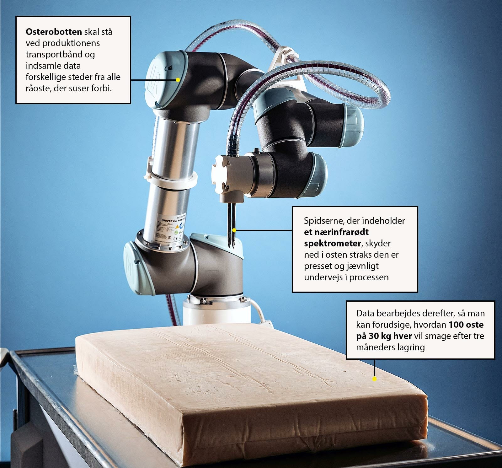 Robotten her kan indsamle hidtil uset store mængder af data fra oste. De mange data siger noget om, hvad osten består af, allerede fra lige efter den er blevet presset til en rå-ost. Det kan så bruges til at forudsige, hvordan ostens smag og konsistens bliver flere måneder senere, og det kunststykke er der ingen andre, der har lavet før..