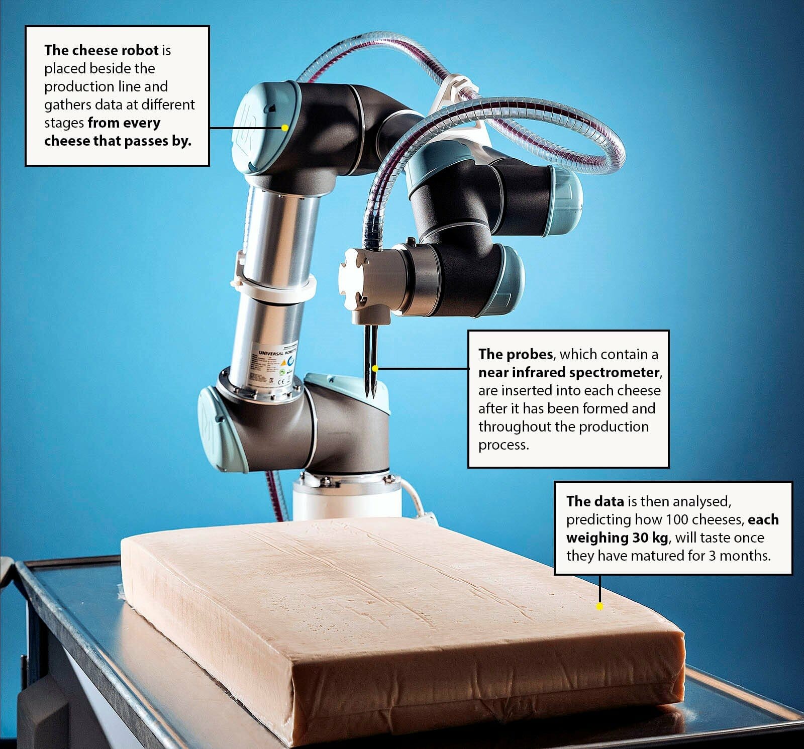 This robot can gather an unprecedented amount of information from cheese. With the help of mathematical formulas, it can accurately predict the finished cheese’s flavour and texture, something that has eluded cheesemakers for generations.