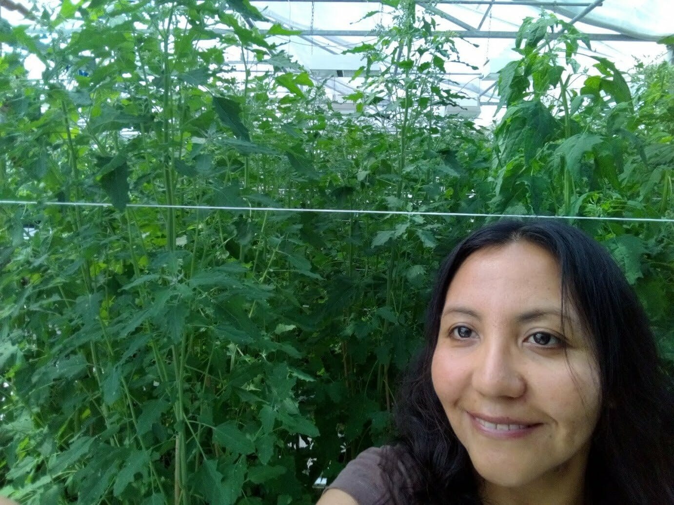 Carla Colque-Little in the UCPH greenhouse in Taastrup. 