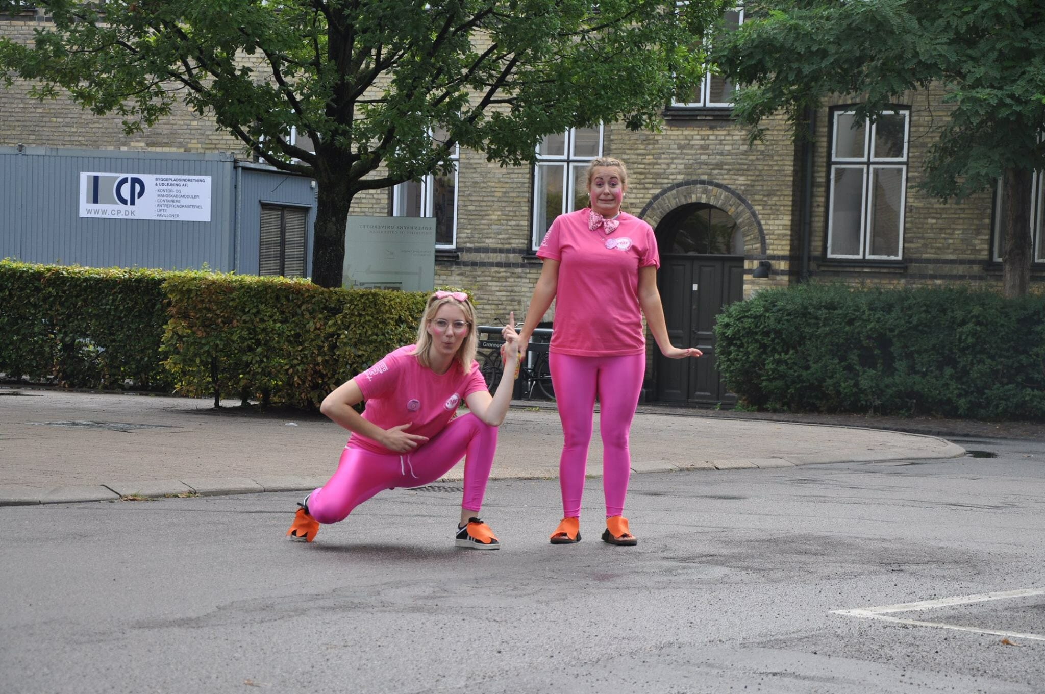 Hvert år har rusvejlederne på Veterinærmedicin en farve og et dyr, de forsøger at klæde sig ud efter. Her fra sidste år, hvor de helt tydeligt var pink pingviner - i tights naturligvis.