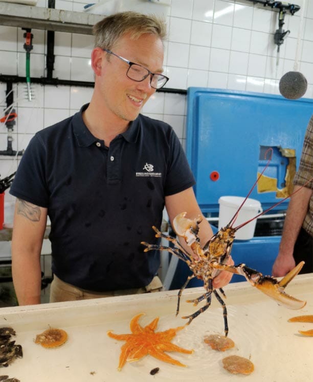 Sensation: The world s ugliest fish has spawned in the Øresund Aquarium Sensation: The world s ugliest fish has spawned in the Øresund Aquarium