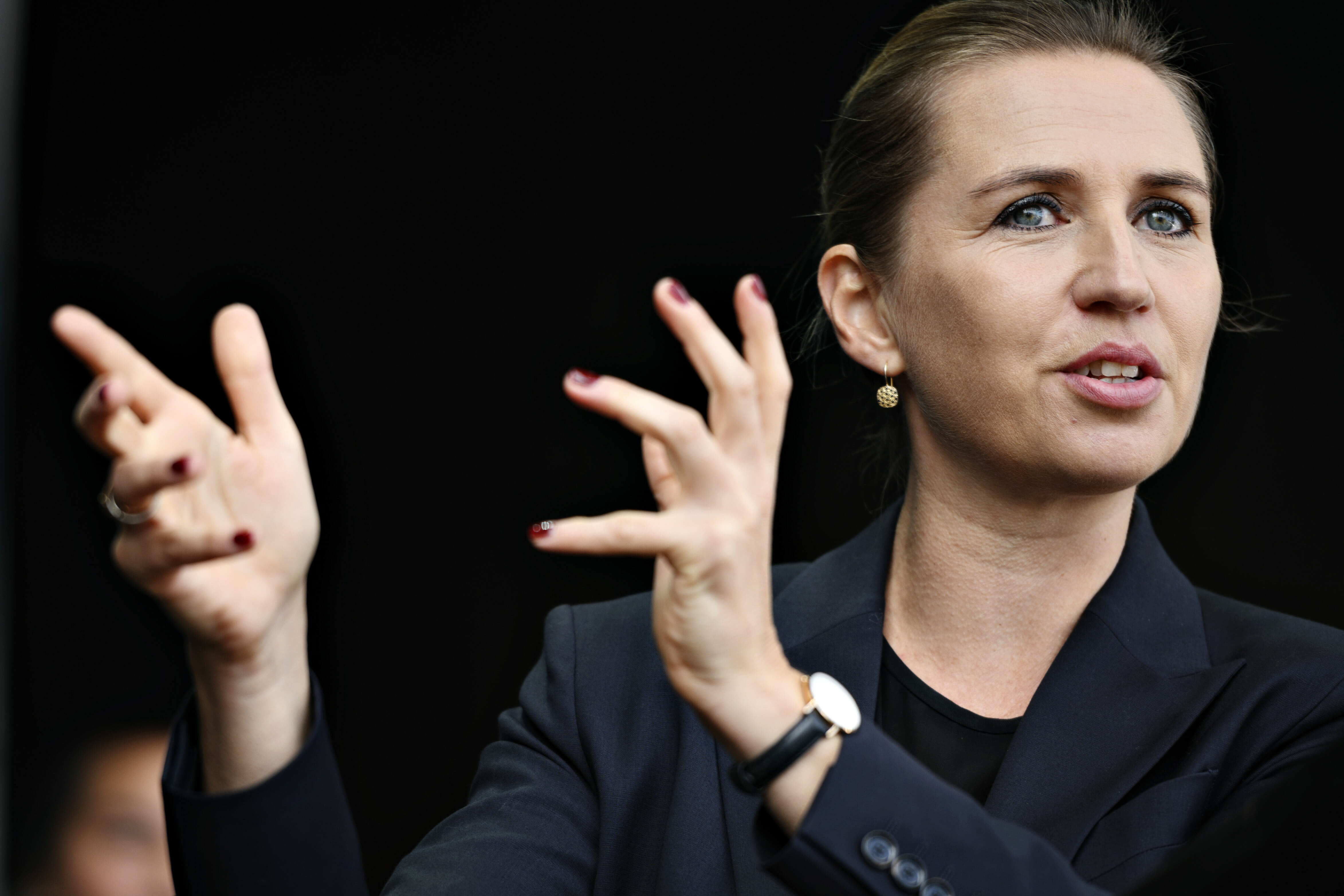 Statsminister Mette Frederiksen advares mod at tage frie forskningsmidler. »Den frie forskning er presset,« siger formanden for Danmarks Frie Forskningsfond.