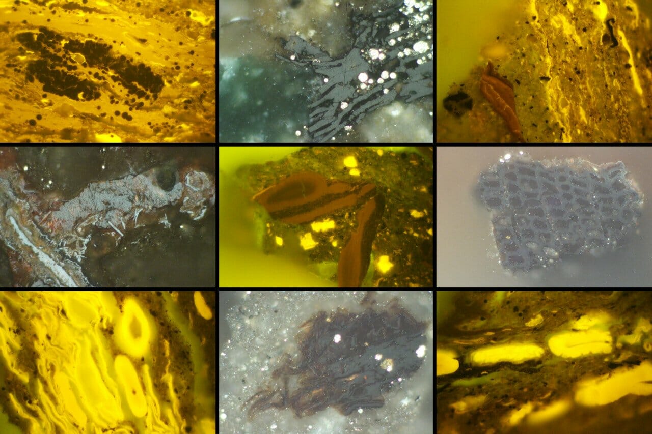 Geology phd thesis