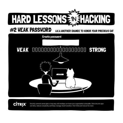 'Hårde lektioner i hacking' - lav et godt password – og lad være at give det væk. (Gif'en er en reklame for en større it-virksomhed).