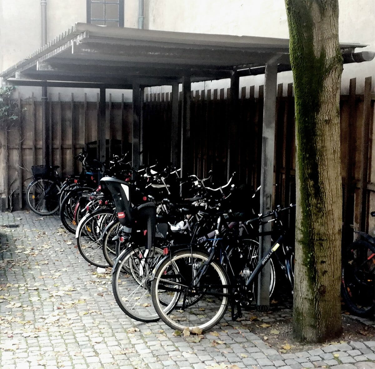 Rift om cykelpladsen under halvtag ved Museumsbygningen i indre by.