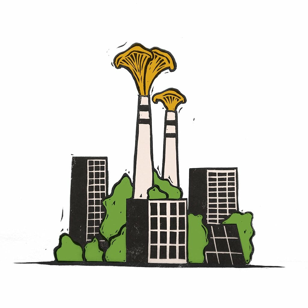 I øjeblikket praler vi af at have en CO₂-reduktion, som kun eksisterer i et Excel-ark, siger professor Carsten Rahbek.