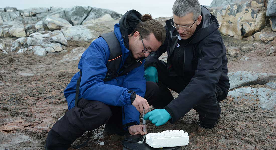 Forskerne indsamler guano. Det er geolog Bo Elberling til højre.