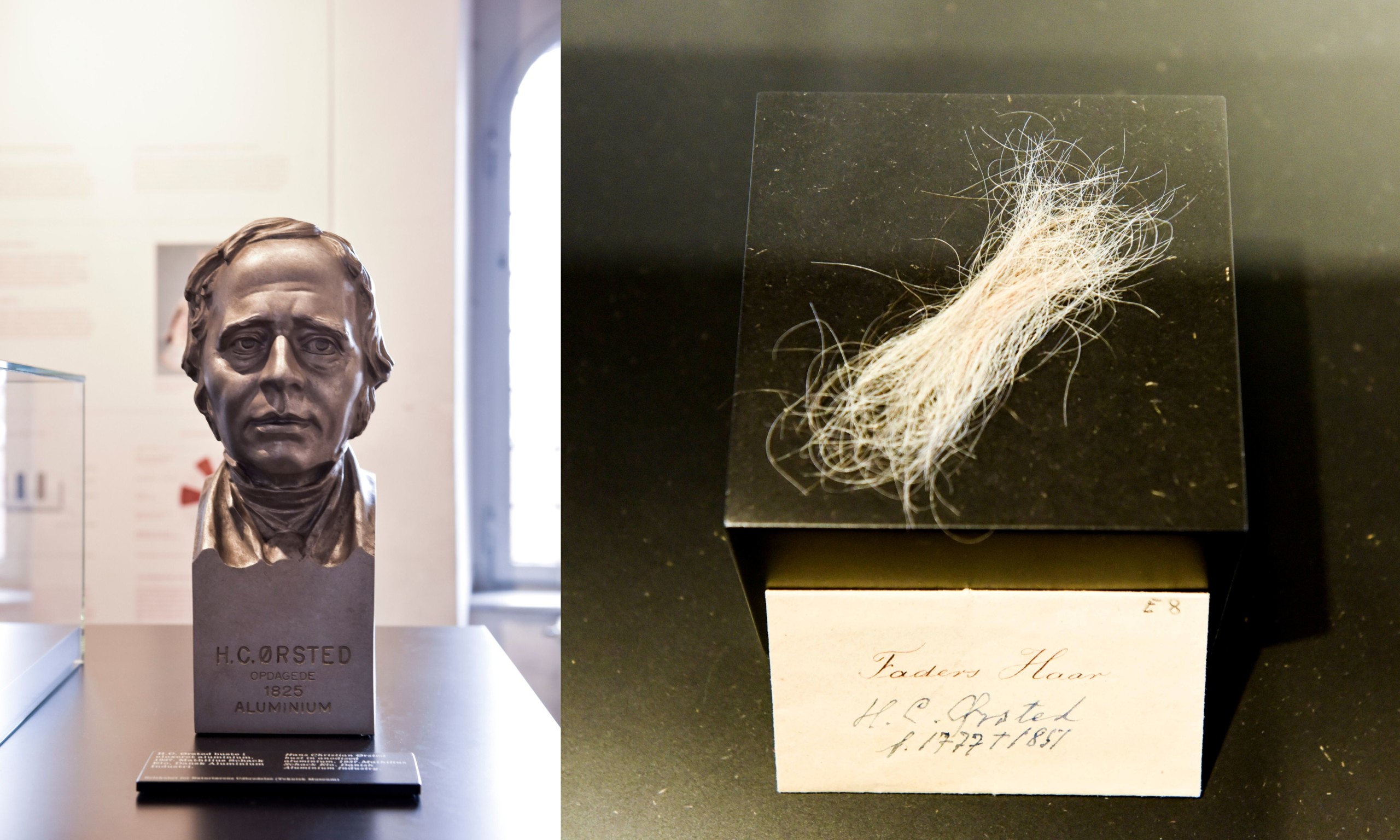 Til venstre: Byste af H.C. Ørsted. Til højre: En tot hår fra H.C. Ørsteds hovede, afklippet på hans dødsleje.