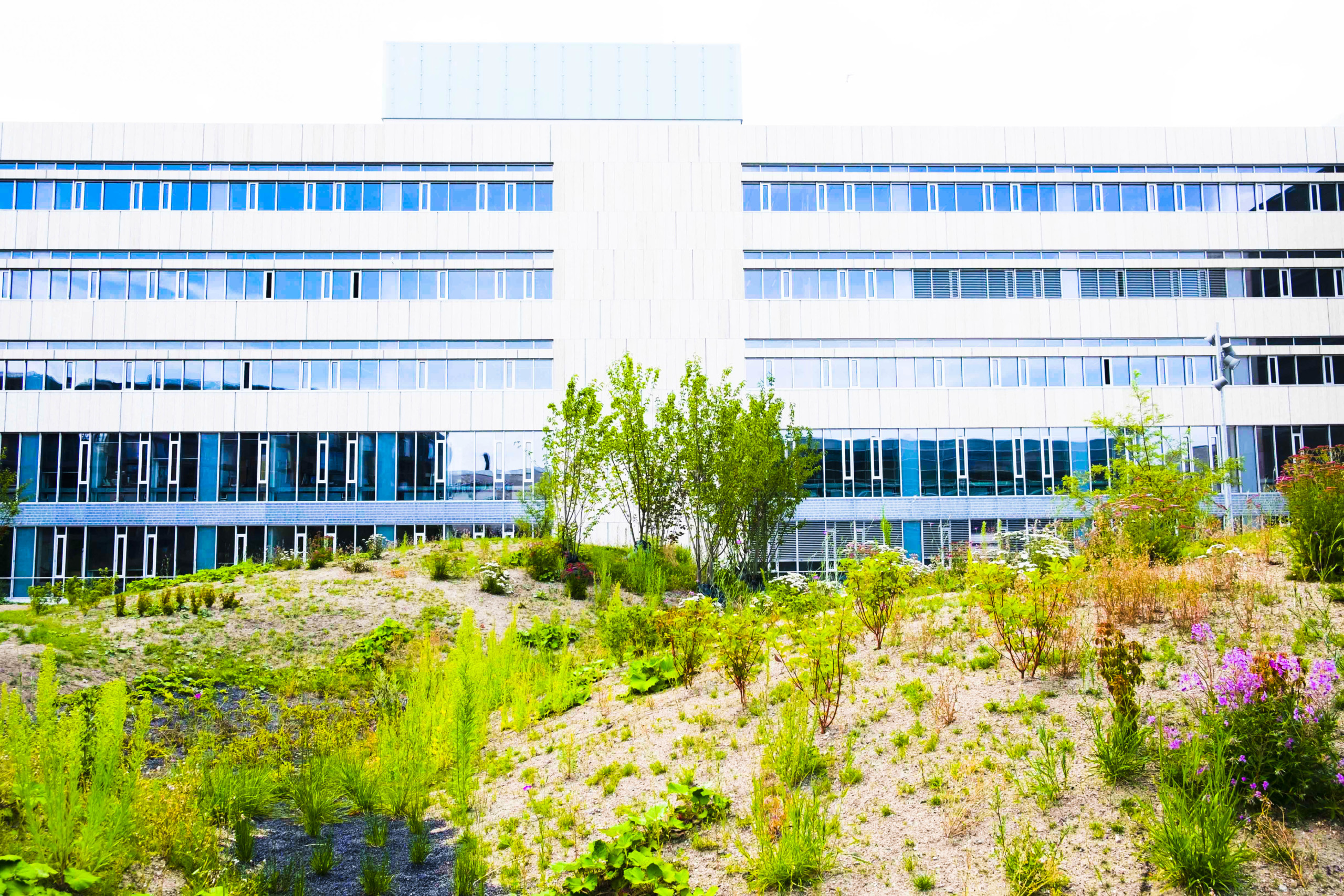 Humaniora har samlet fået 8.348 ansøgninger – fakultetets samboer på Søndre Campus, Jura og Teologi, har modtaget henholdsvis 2.858 og 284.