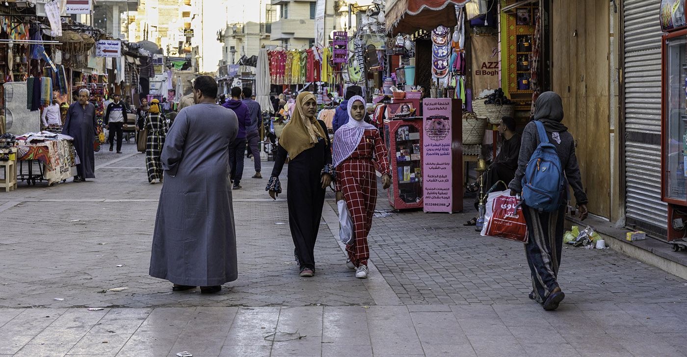 Åben for fortolkning – nogle studerende problematiserer de fremstillinger af Mellemøsten, som de finder i deres sprogtekster, ikke mindst om kvinders position; andre ser sig spejlet i dem. (Foto fra Aswans souk, Egypten).