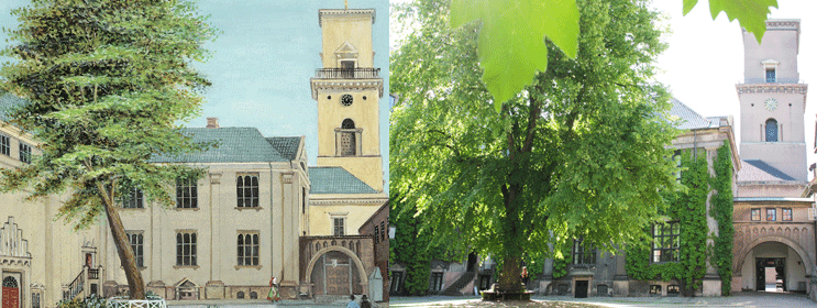 Collage of a photo by Emma Flokstra Nielsson and and a painting from 1850 courtesy of the University of Copenhagen photo archive