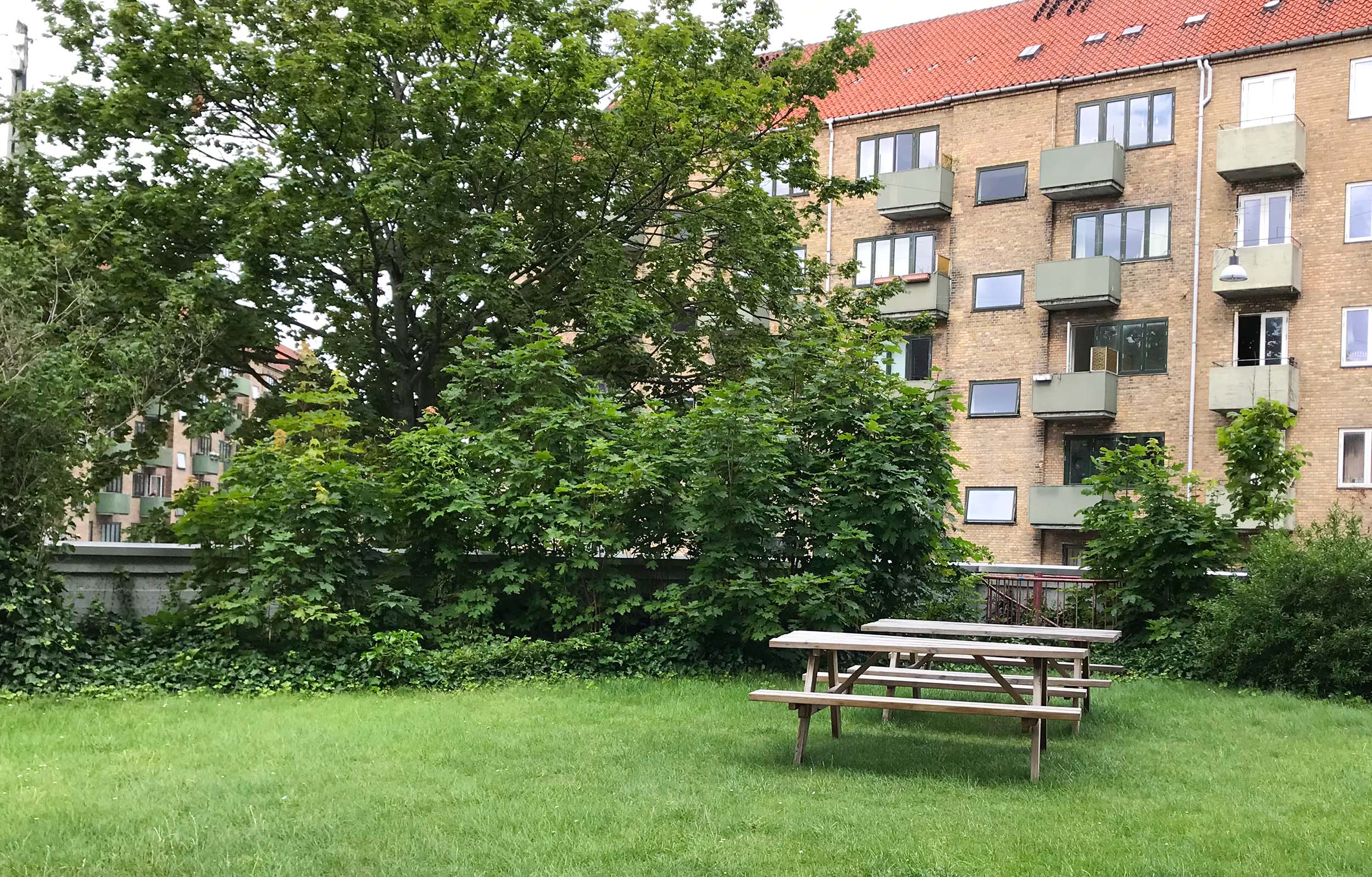 Gårdhaven er et af de eneste fællesområder på kollegiet.