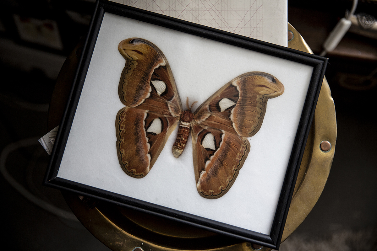 There are both large and smaller butterflies on the office wall. The big ones Troels C. Petersen give to his PhD students.