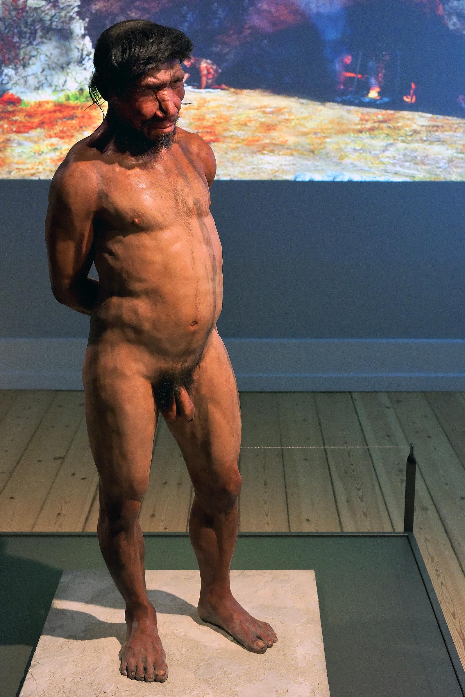 Den nude neandertaler er udlånt fra en tidligere udstilling på Moesgård Museum.