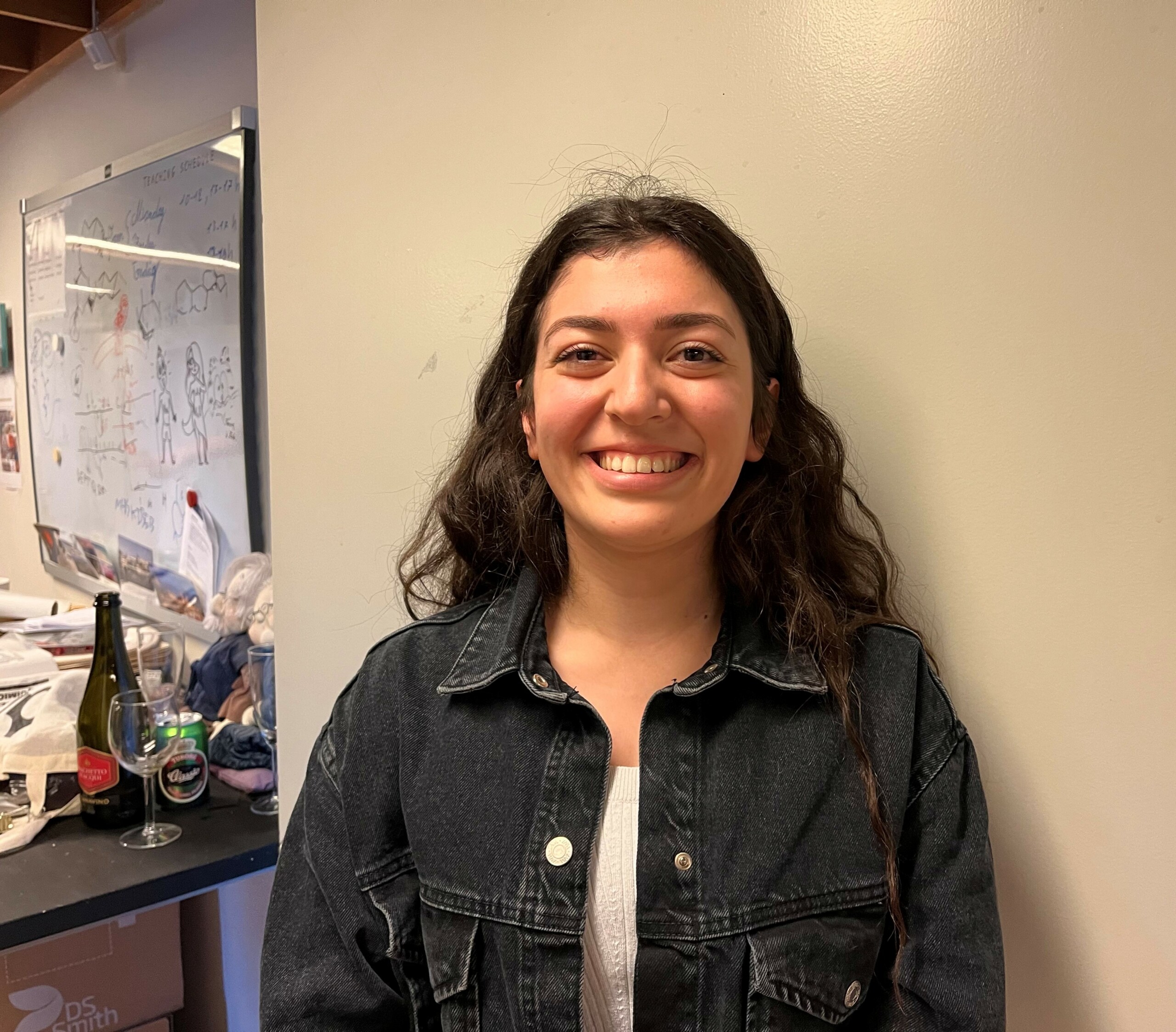 Rusen Kerpic er specialestuderende med Morten Meldal som vejleder