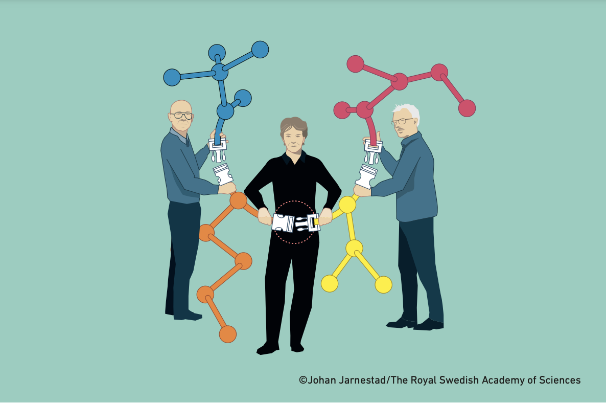 Barry Sharpless, Carolyn Bertozzi and Morten Meldal jointly win the Nobel Prize in Chemistry for 'click chemistry' – a process where molecular building blocks click together quickly and efficiently.