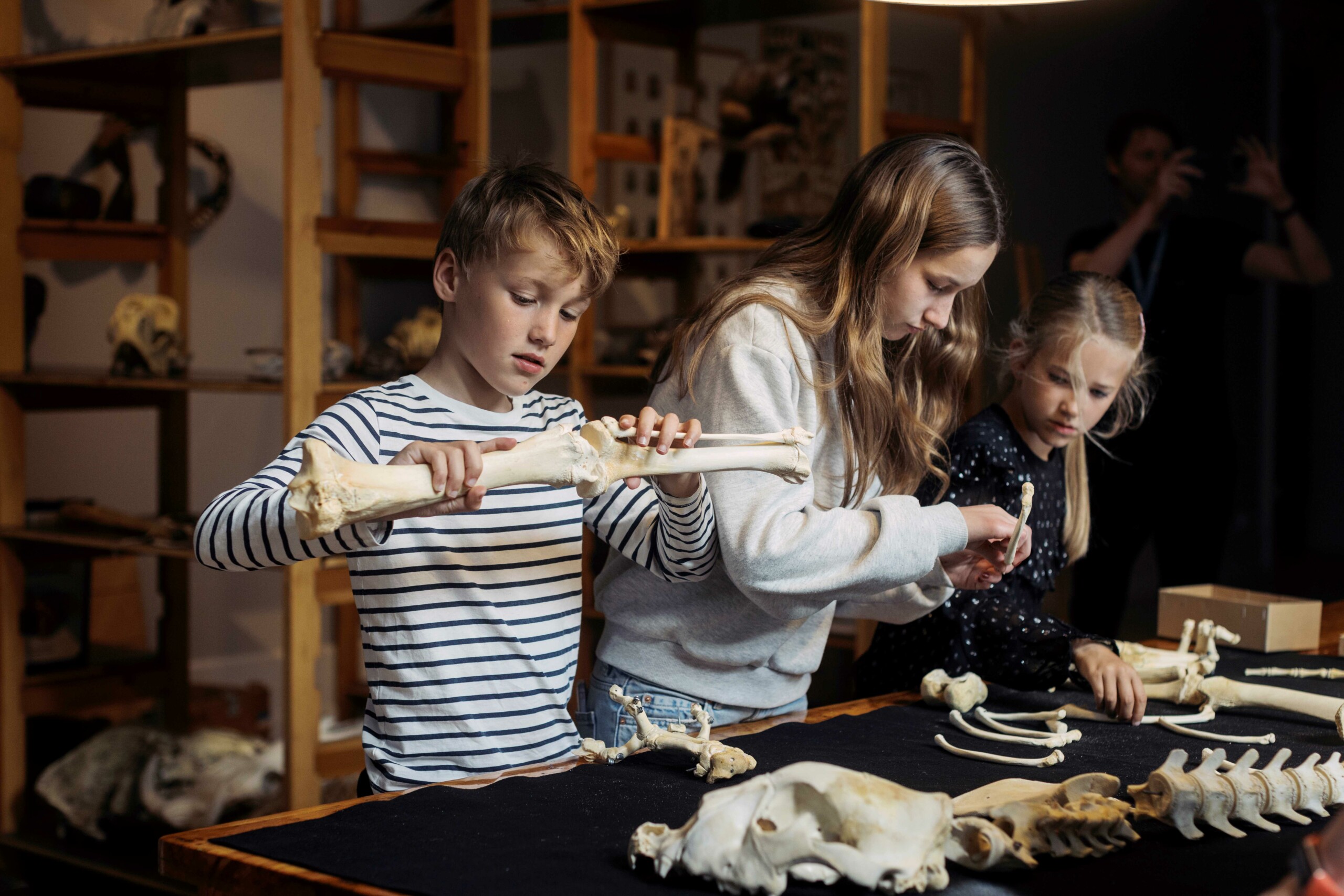 Heldigvis må man gerne røre. Ny særudstilling med alt godt fra magasinerne åbner fredag 28. juli på Statens Naturhistoriske Museum.