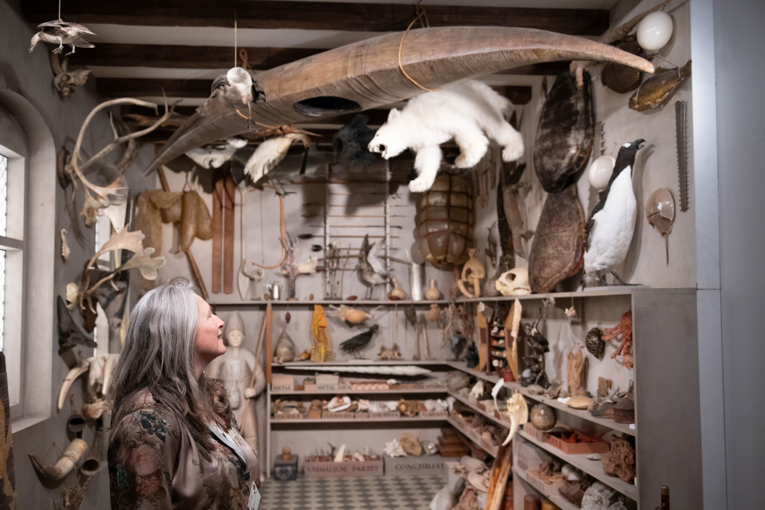 The new museum will be located in the Botanical Gardens and will feature new underground exhibition halls. At the same time, it will be integrated with the existing historic buildings around the Sølvtorvet square, including the old Geological Museum, where Wild Wonderful World is currently on display.