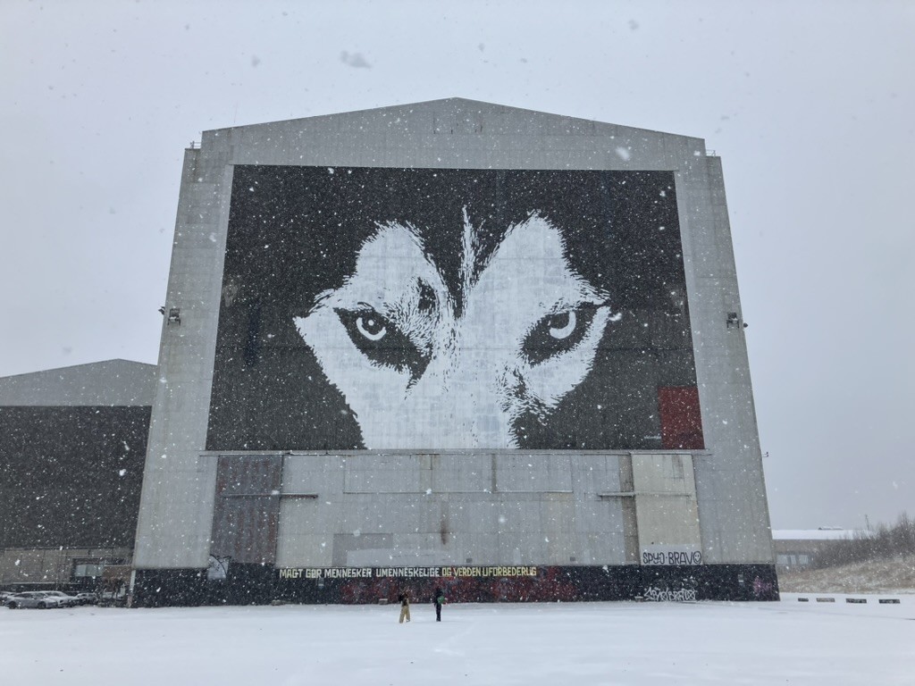 Landon Hildebrandt has already found some of his favourite places in Copenhagen: Lille Bakery, Mayhem, Refshaleøen and Christiania. 