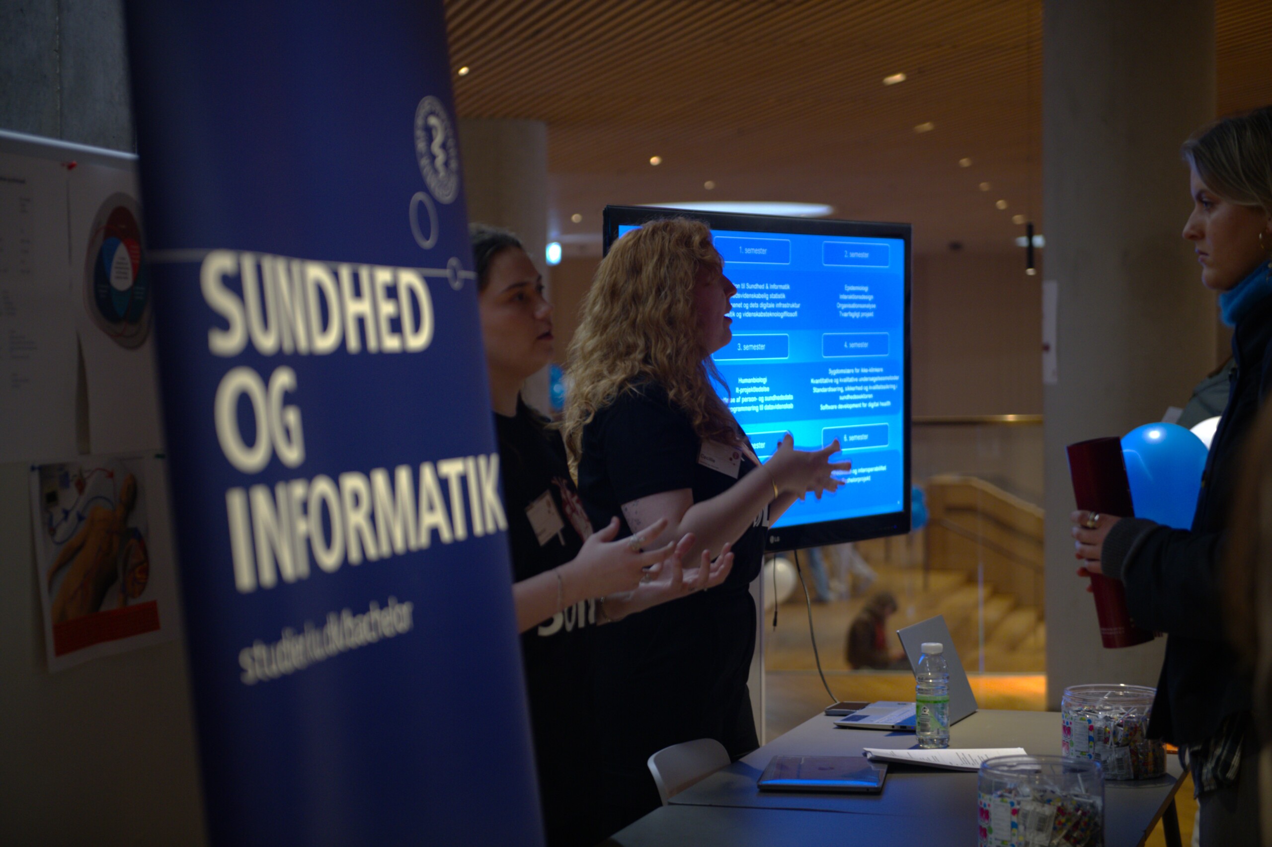 Sundhed og informatiks største udfordring er, at kun få kender til uddannelsens eksistens.