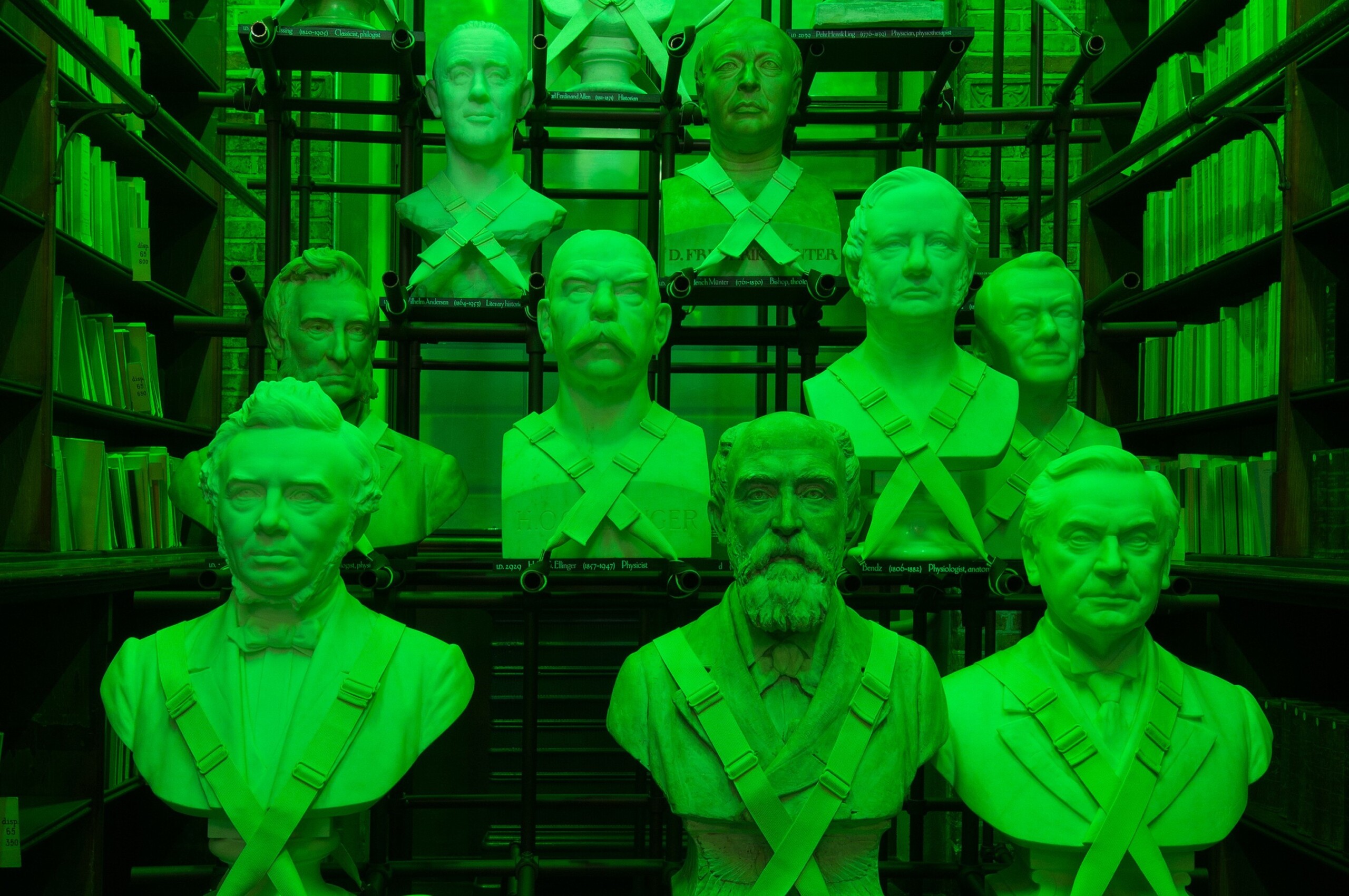 De 45 buster er placeret på en tribune og badet i et grønt lys, der får dem til at se endnu mere ensartede ud, end de var i forvejen. For eksempel er det svært at kende de forskellige materialer fra hinanden.