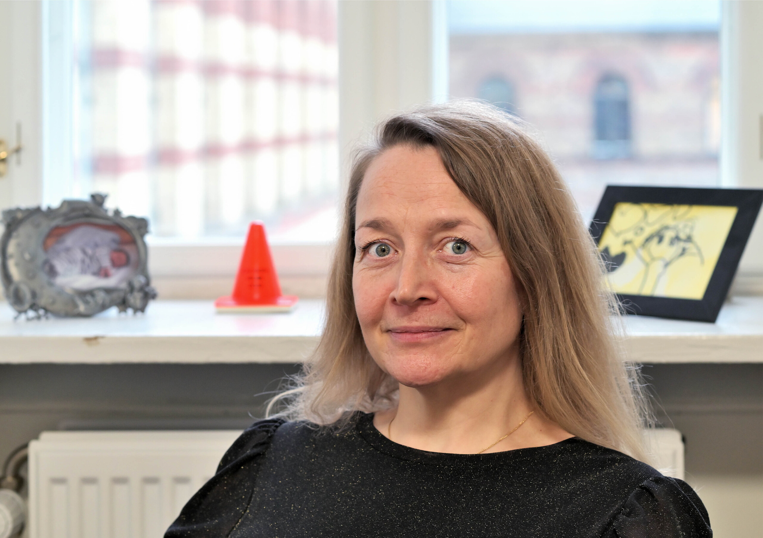 Anna Ilsøe har kontor på Sociologisk Institut, CSS, hvor hun leder forskningsprojekter, der undersøger digitaliseringens konsekvenser for arbejdsmarkedet. Hun har også lavet komparative studier af den danske arbejdsmarkedsmodel i forhold til den tyske, amerikanske og australske arbejdsmarkedsregulering.