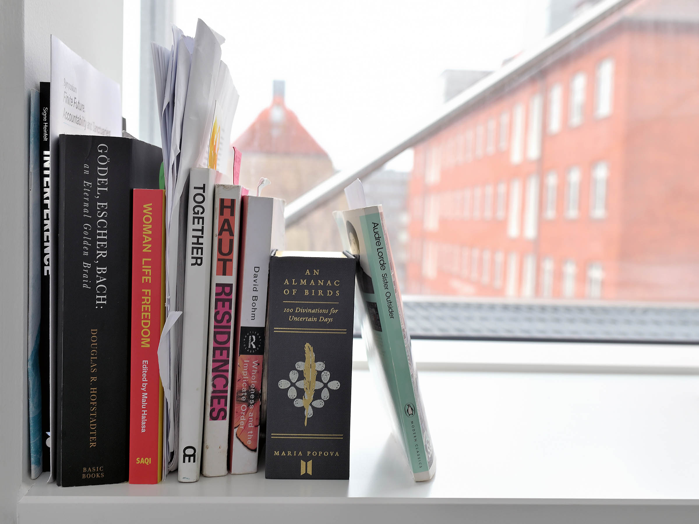 Clara Ferreira Cores' lille privatbibliotek i vindueskarmen på NBI. Titlerne spænder bredt.