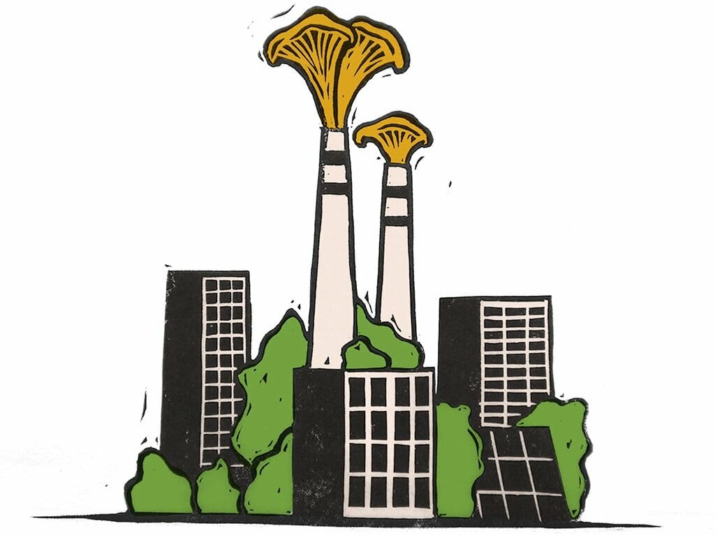 KU's klimamålsætninger skal til revison hos både bestyrelse og ledelsen, da de nuværende virker urealistiske at indfri.