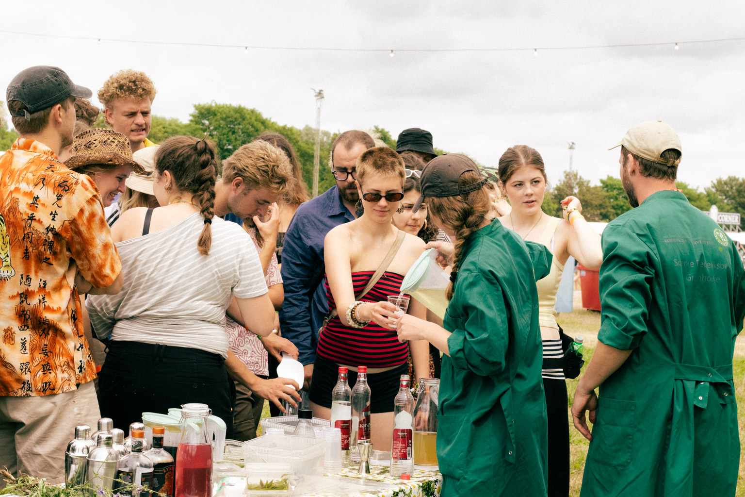 Deltagerne lærer at lave hyldeblomst skinny bitch, cikorie-martini og skalderkålsmojito.